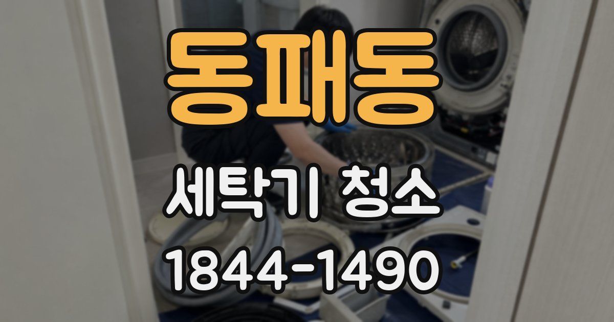 동패동 세탁기 청소