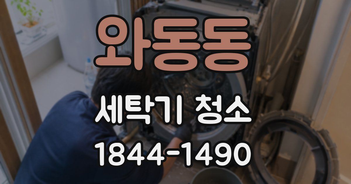 와동동 세탁기 청소