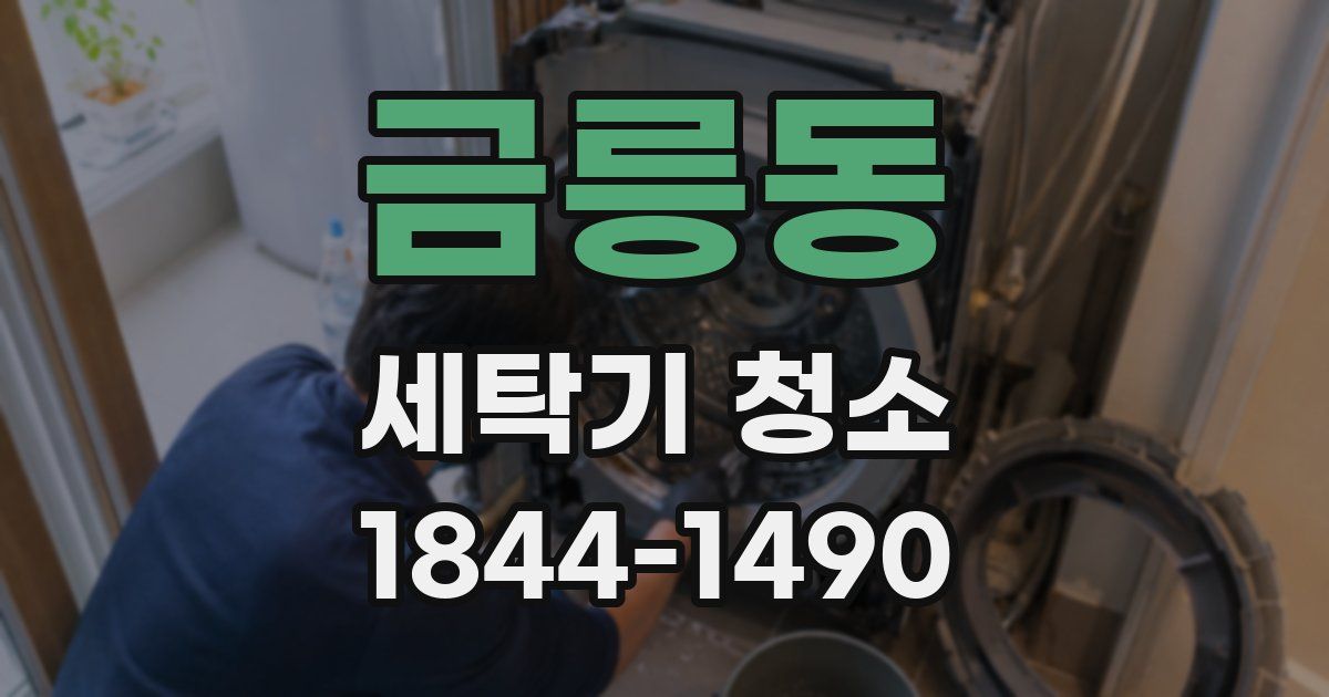 금릉동 세탁기 청소
