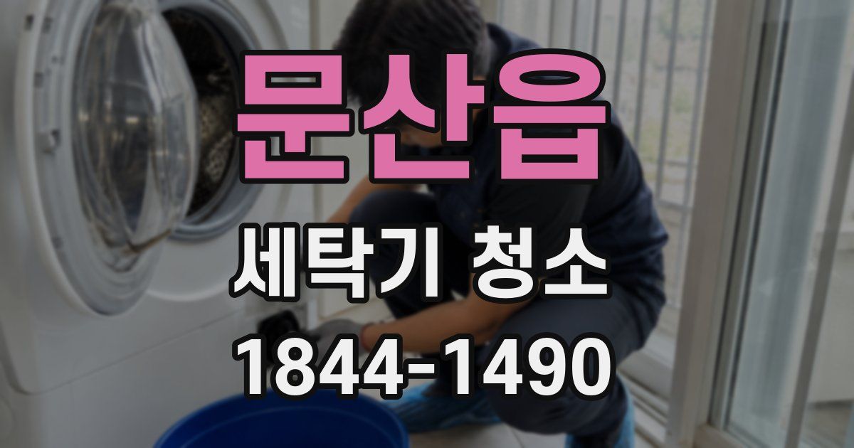 문산읍 세탁기 청소