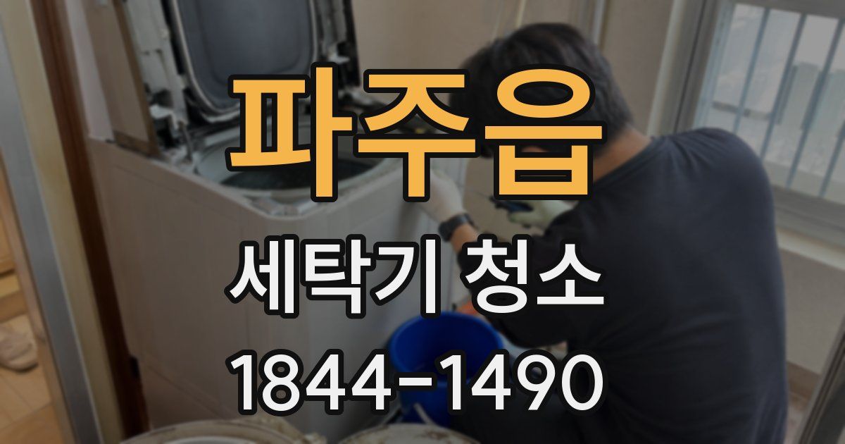 파주읍 세탁기 청소