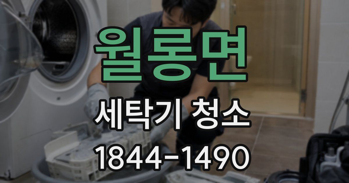 월롱면 세탁기 청소