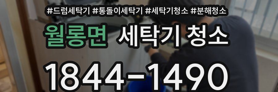 월롱면 세탁기 청소