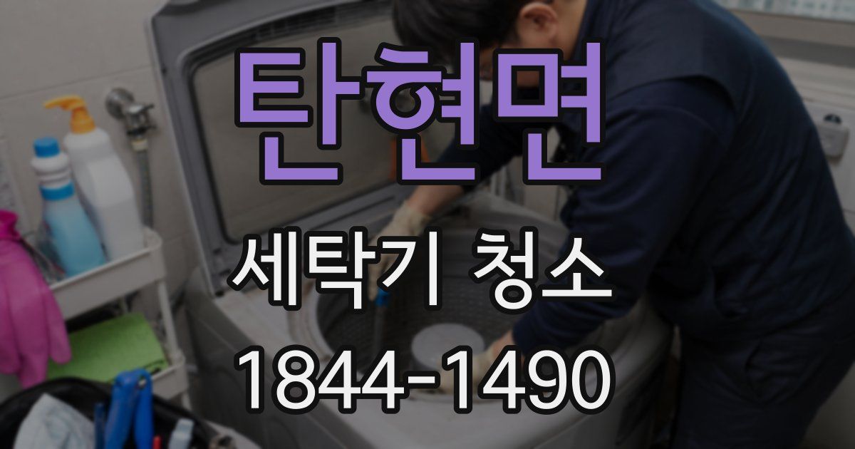 탄현면 세탁기 청소