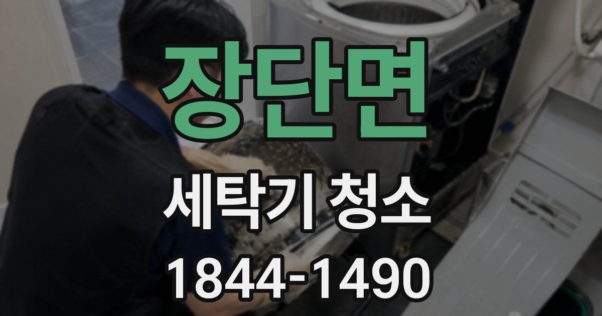 장단면 세탁기 청소