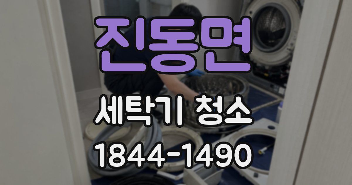 진동면 세탁기 청소