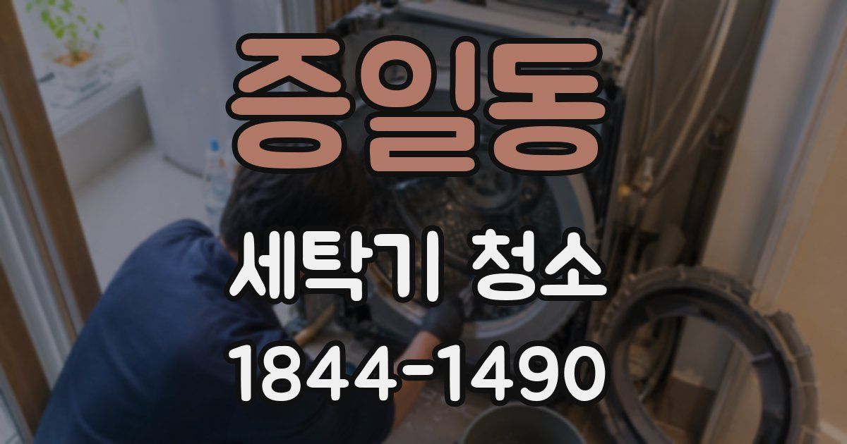 증일동 세탁기 청소