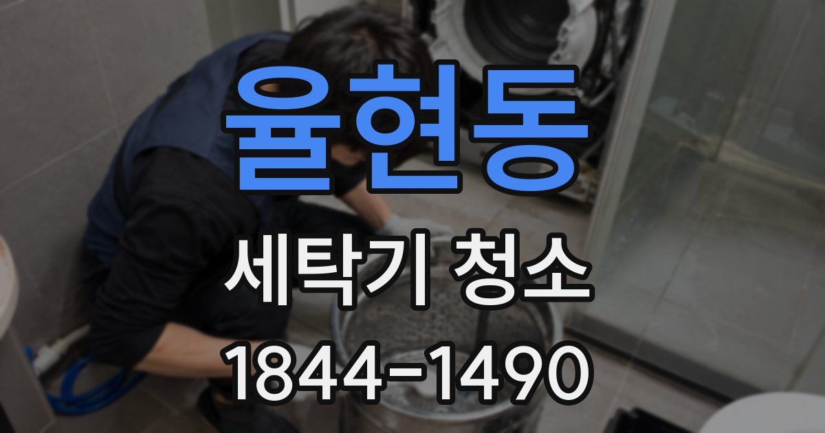 율현동 세탁기 청소