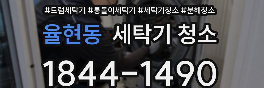 율현동 세탁기 청소