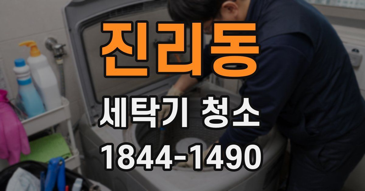 진리동 세탁기 청소
