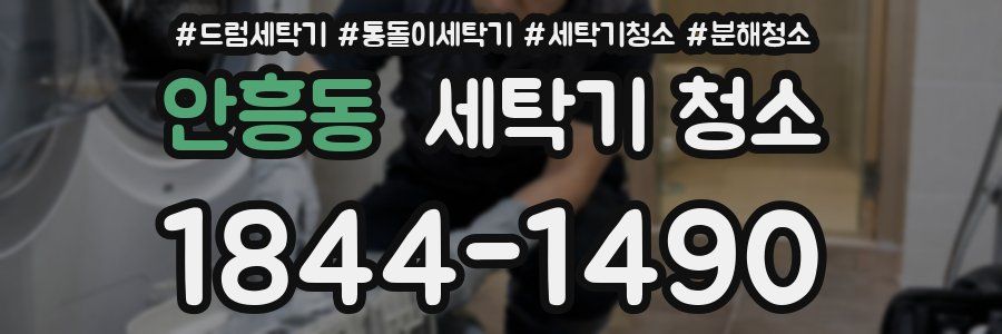 안흥동 세탁기 청소