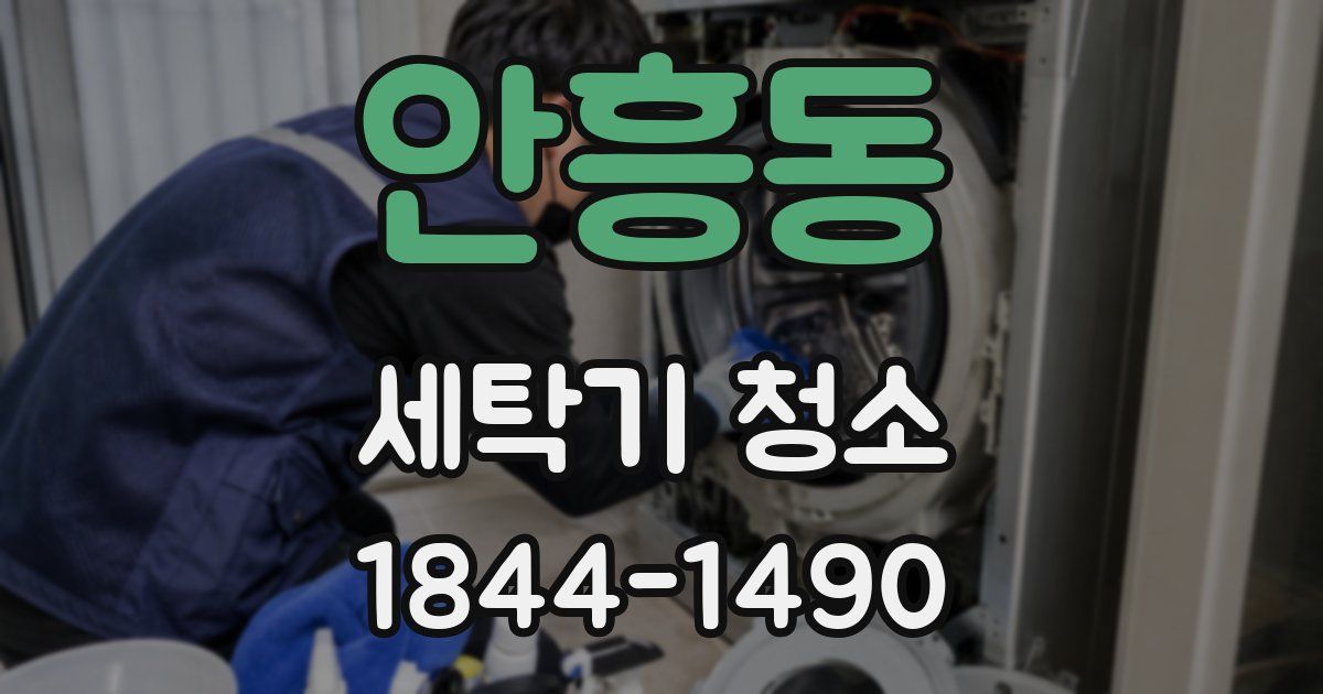 안흥동 세탁기 청소