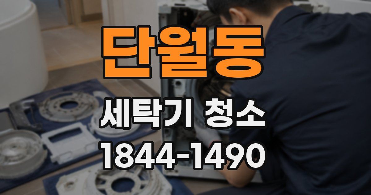 단월동 세탁기 청소