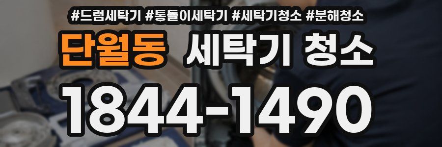 단월동 세탁기 청소