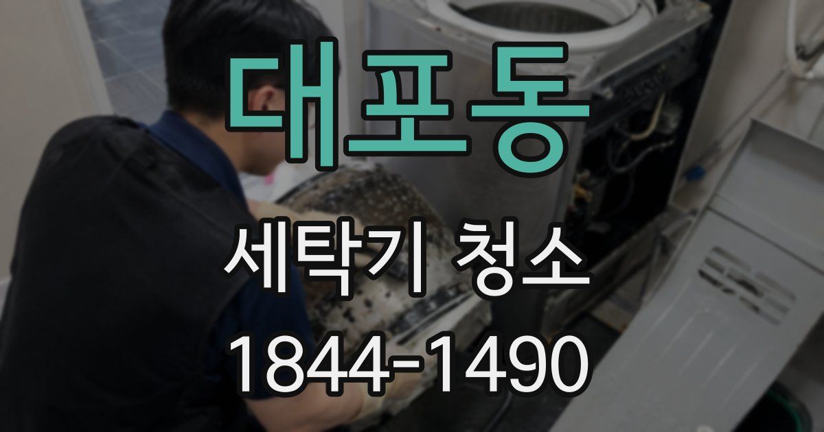 대포동 세탁기 청소
