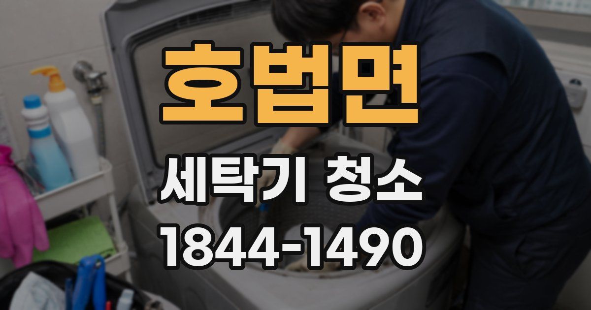 호법면 세탁기 청소