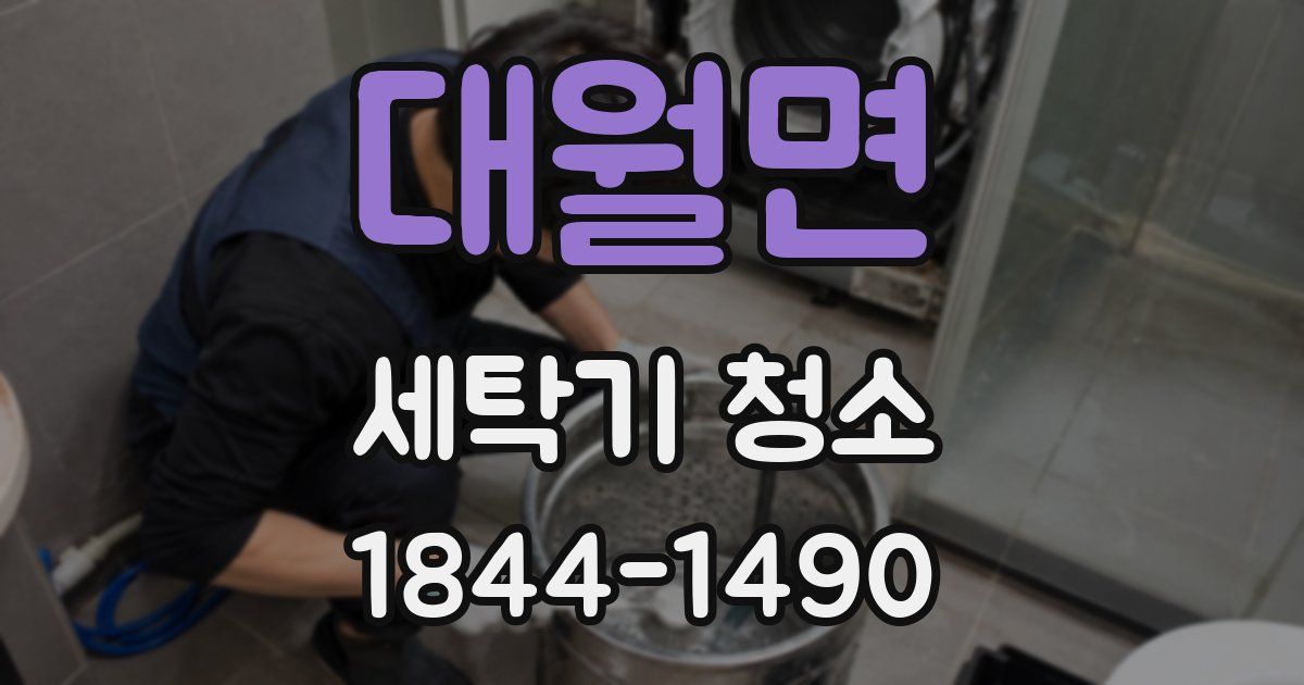 대월면 세탁기 청소