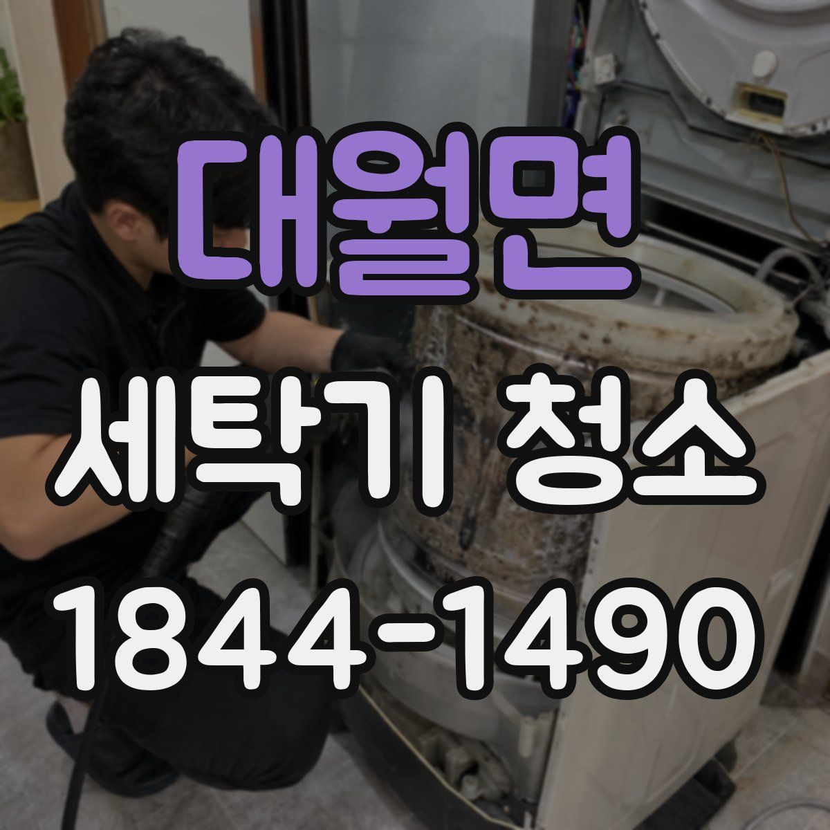 대월면 세탁기 청소
