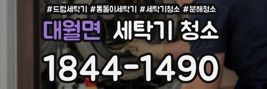 대월면 세탁기 청소