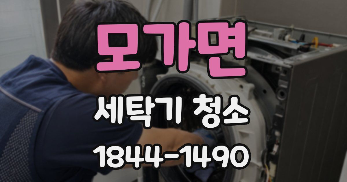 모가면 세탁기 청소