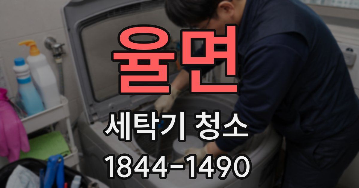 율면 세탁기 청소