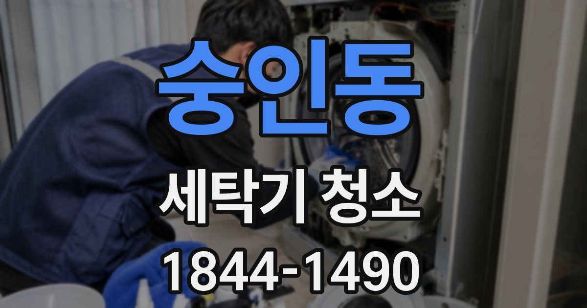 숭인동 세탁기 청소