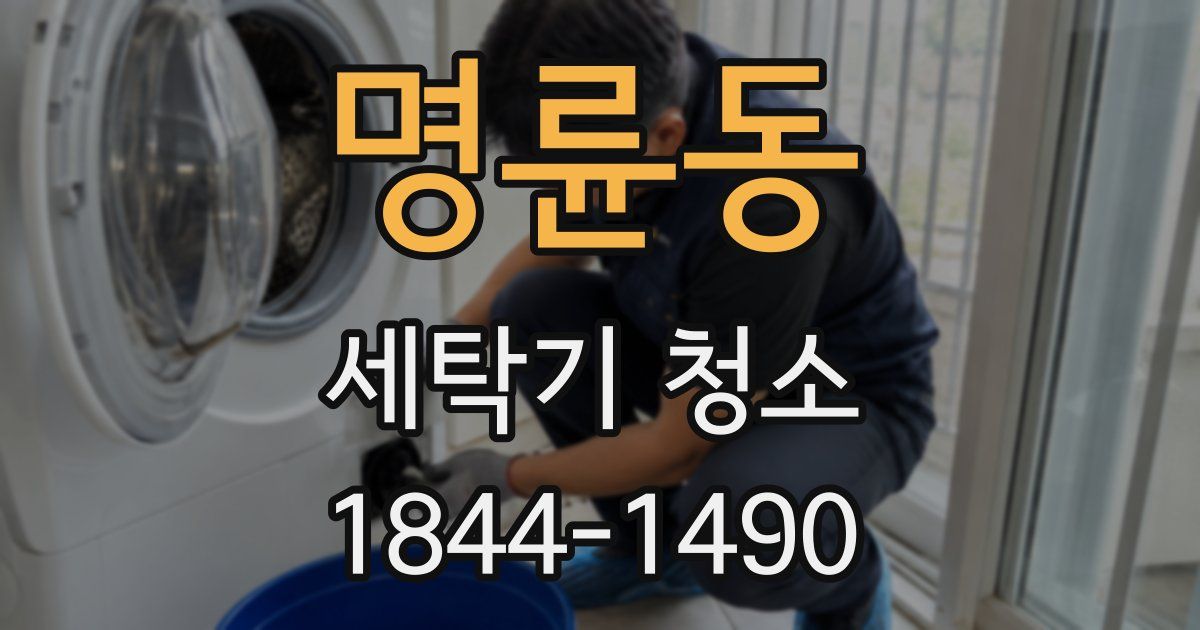 명륜동 세탁기 청소