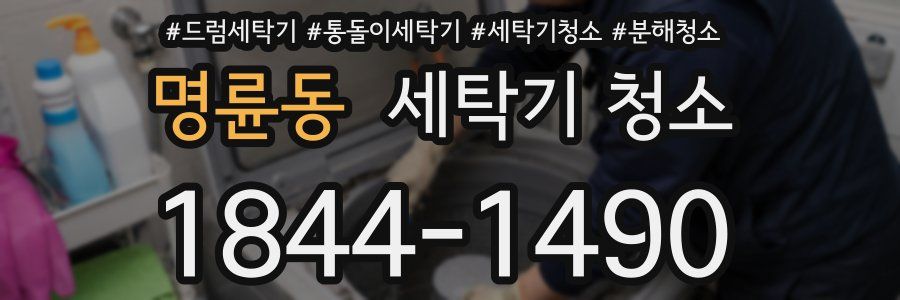 명륜동 세탁기 청소