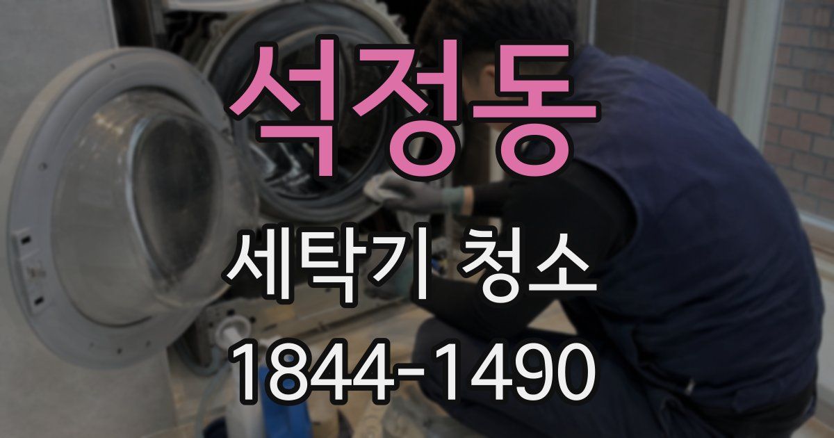 석정동 세탁기 청소