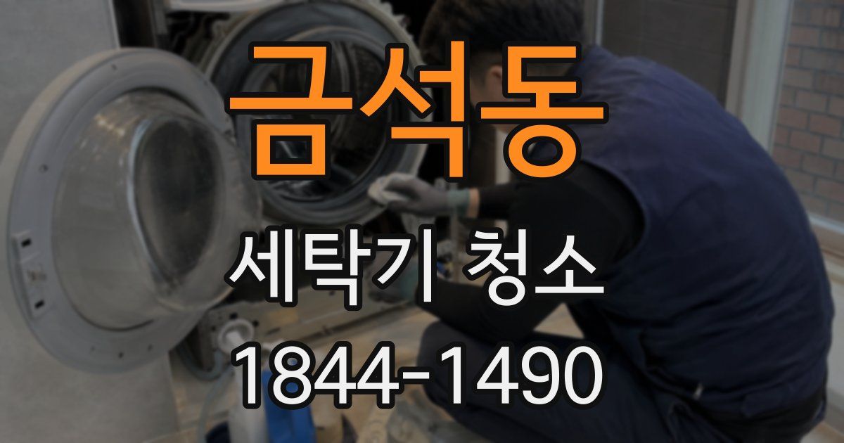 금석동 세탁기 청소