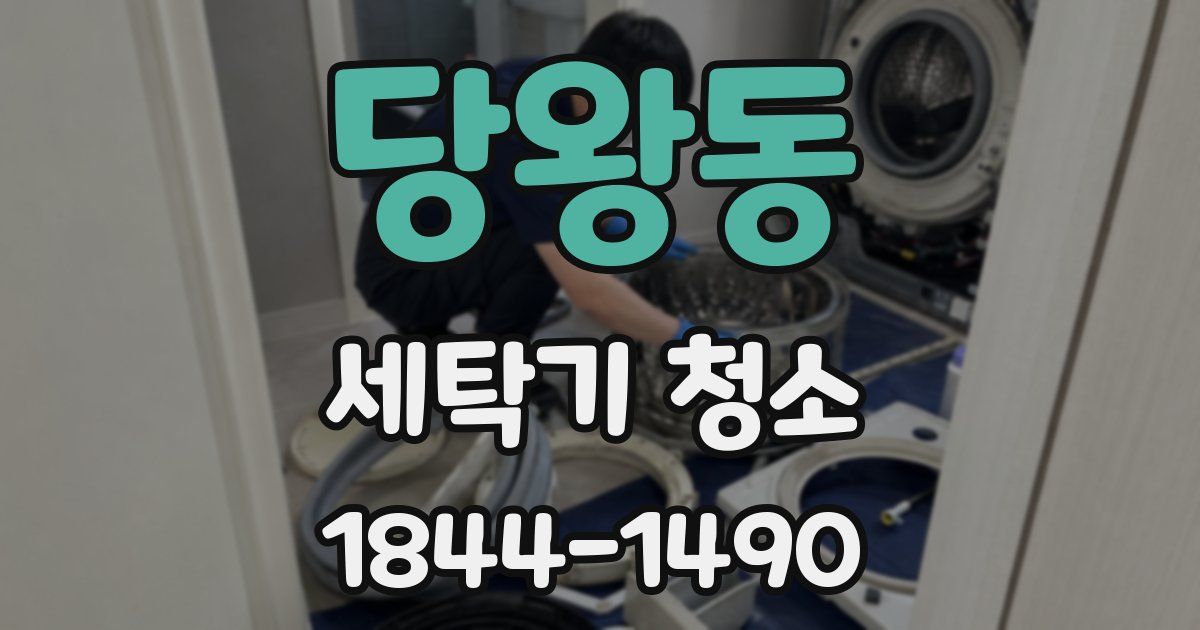당왕동 세탁기 청소