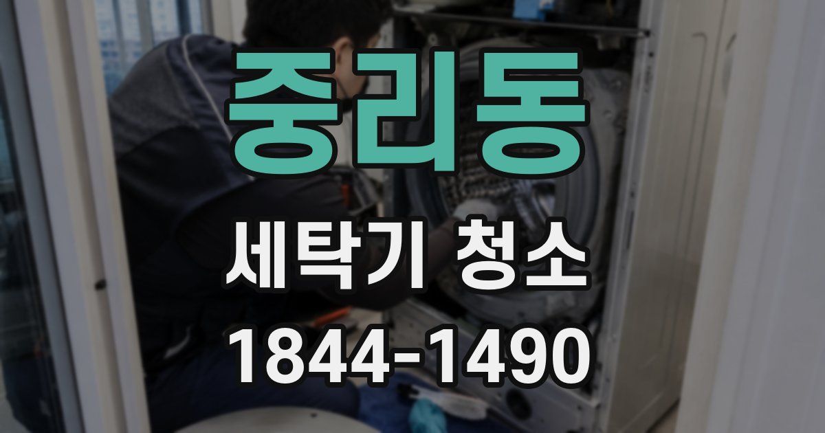중리동 세탁기 청소