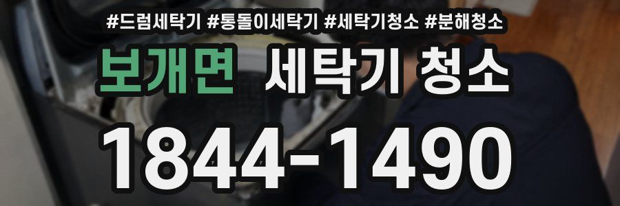 보개면 세탁기 청소