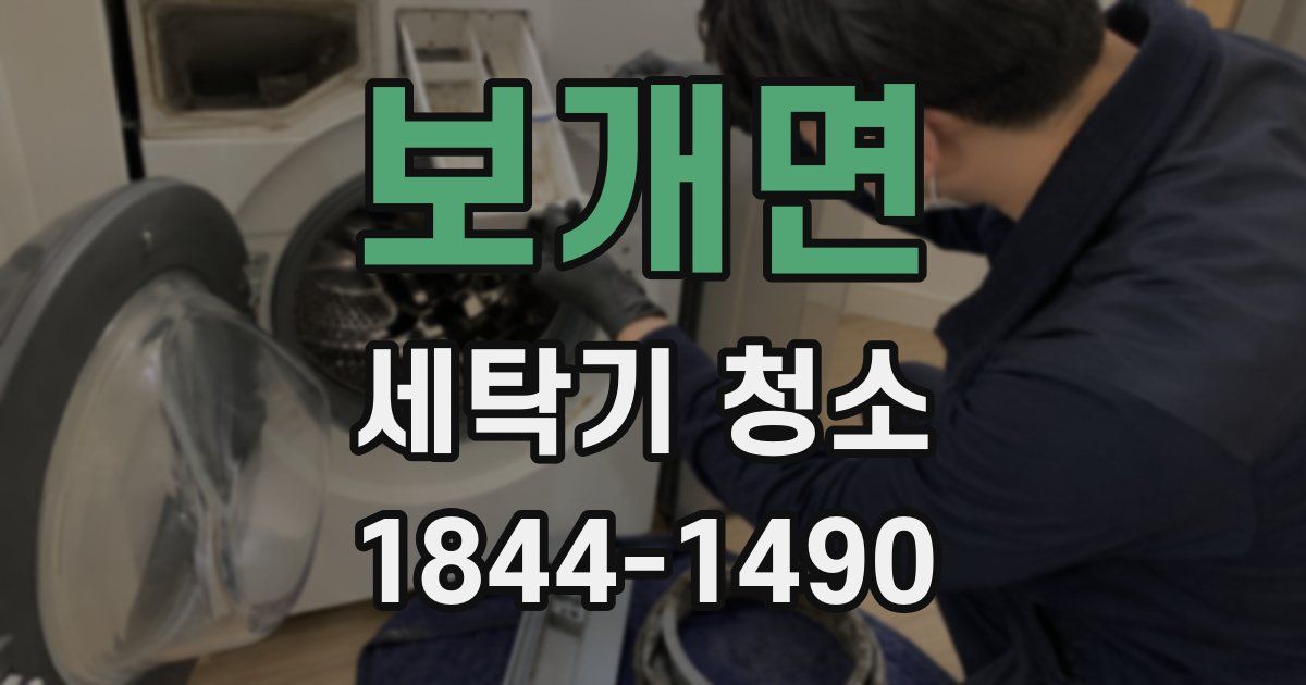 보개면 세탁기 청소
