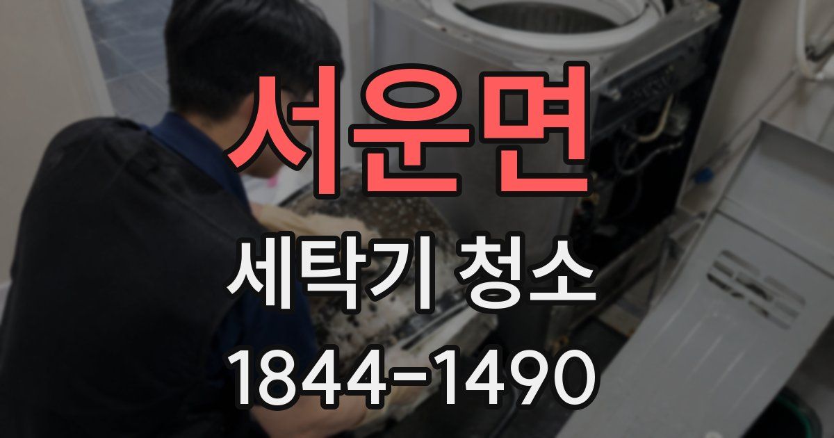 서운면 세탁기 청소