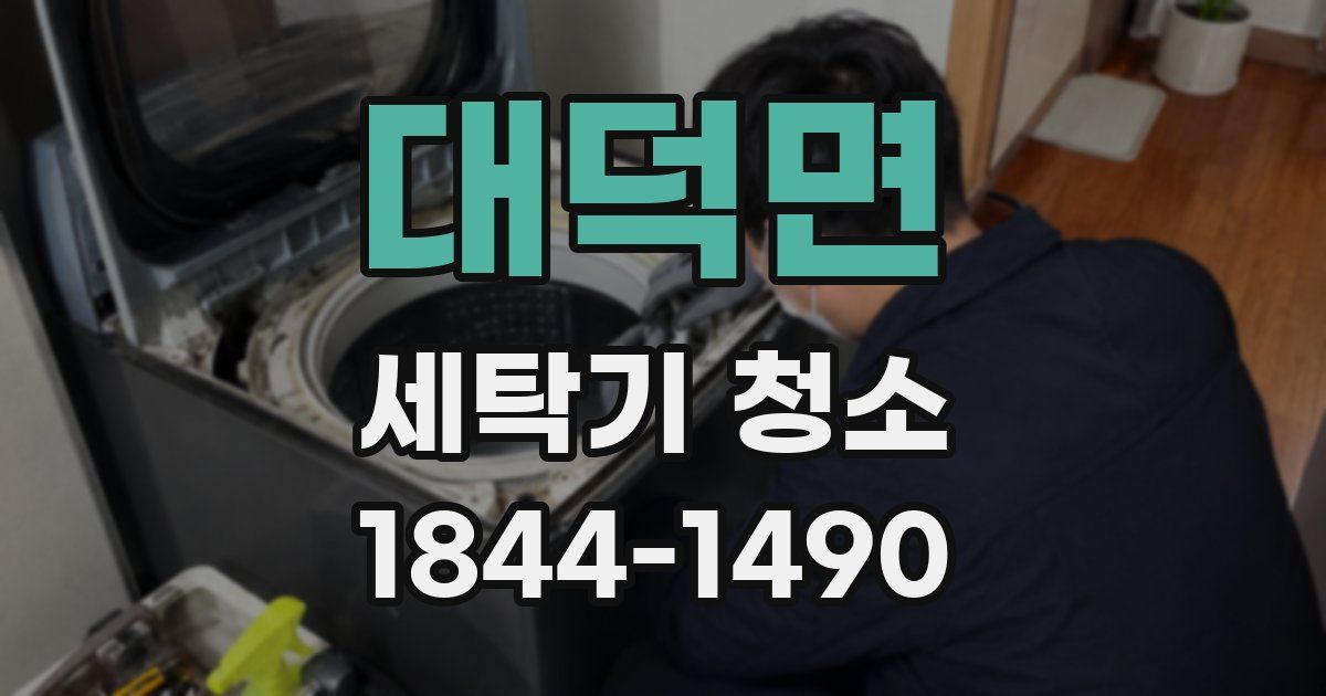 대덕면 세탁기 청소