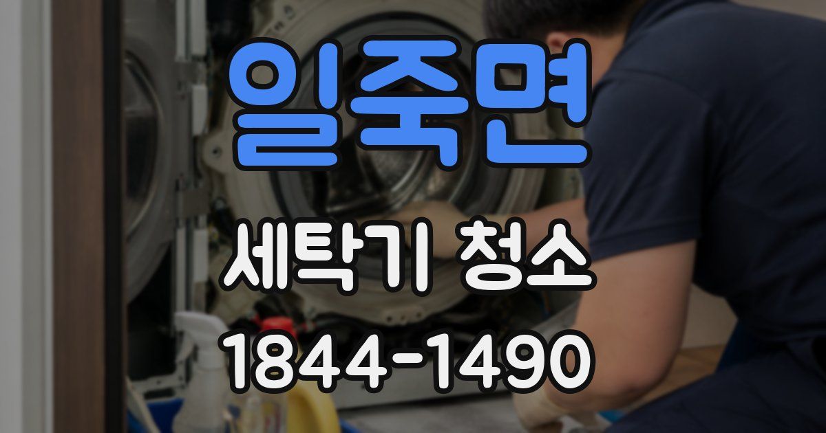 일죽면 세탁기 청소