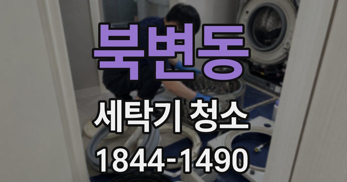 북변동 세탁기 청소