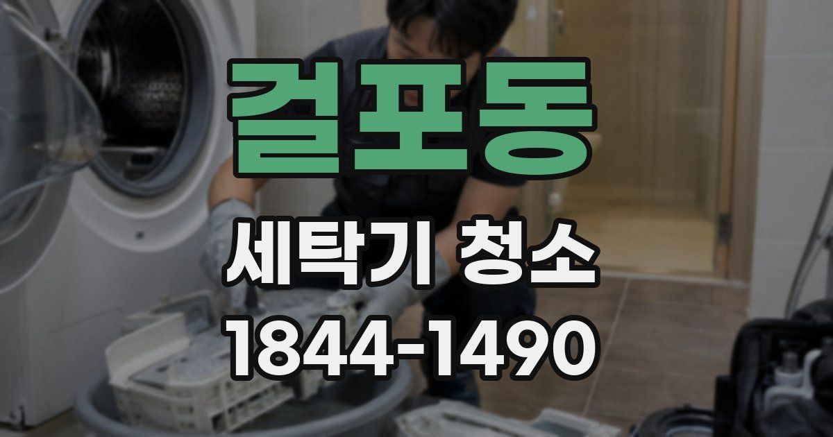 걸포동 세탁기 청소