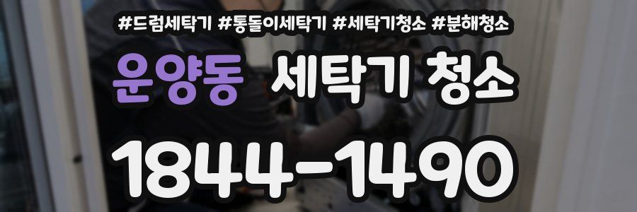 운양동 세탁기 청소