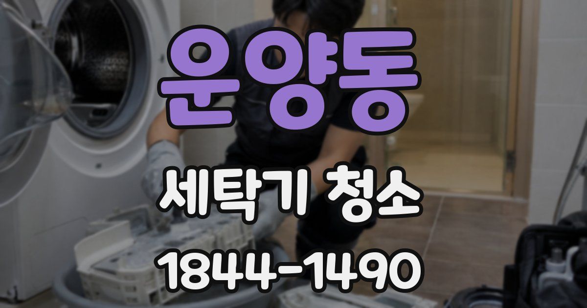운양동 세탁기 청소