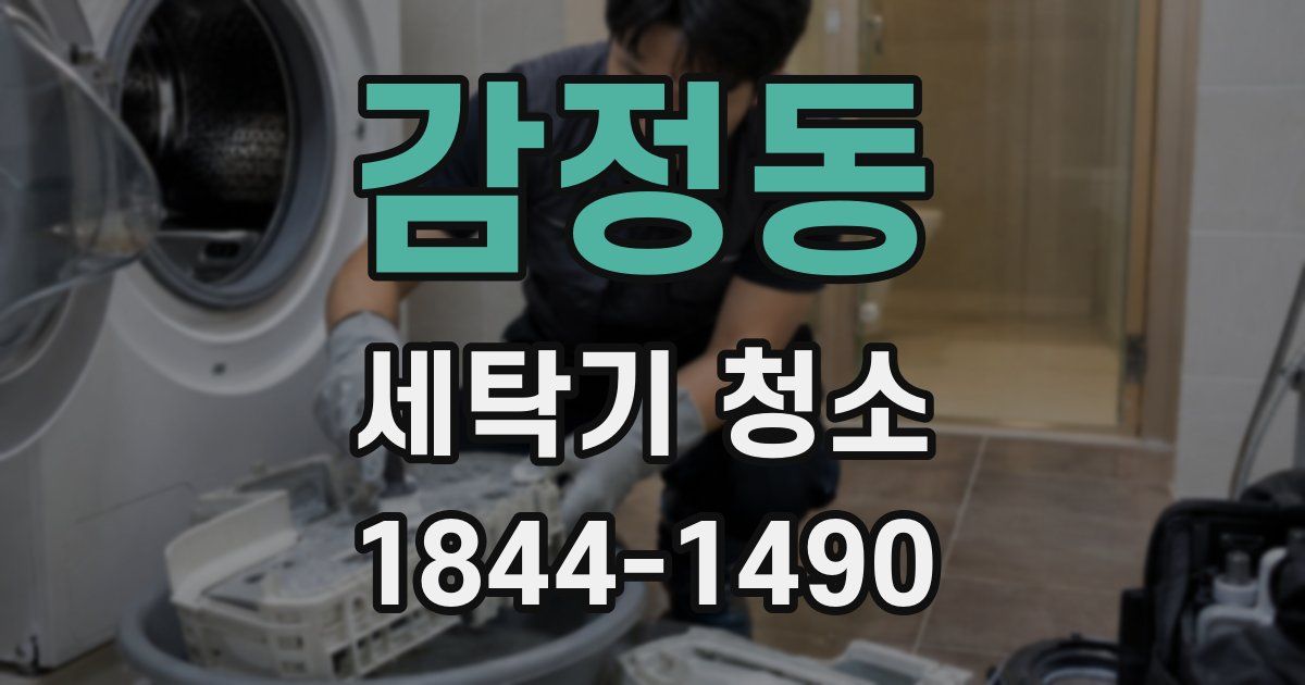 감정동 세탁기 청소