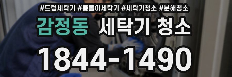 감정동 세탁기 청소