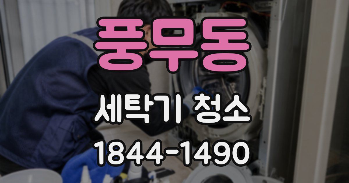 풍무동 세탁기 청소