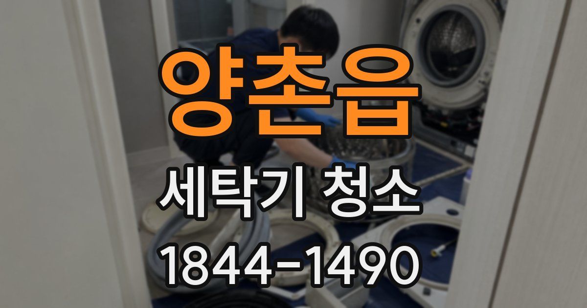 양촌읍 세탁기 청소
