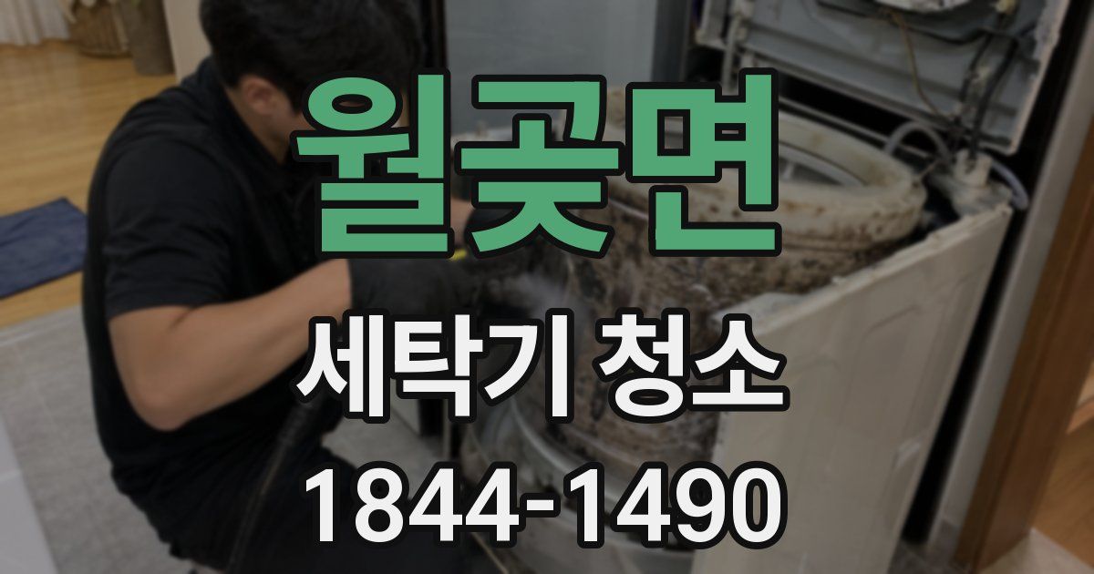 월곶면 세탁기 청소