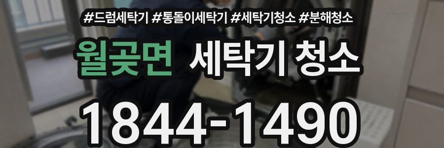 월곶면 세탁기 청소
