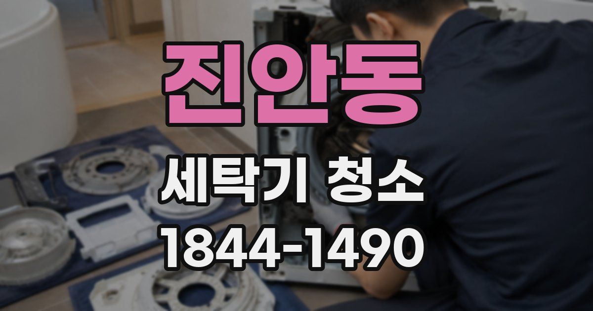 진안동 세탁기 청소