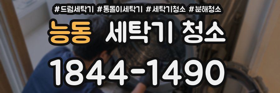 능동 세탁기 청소