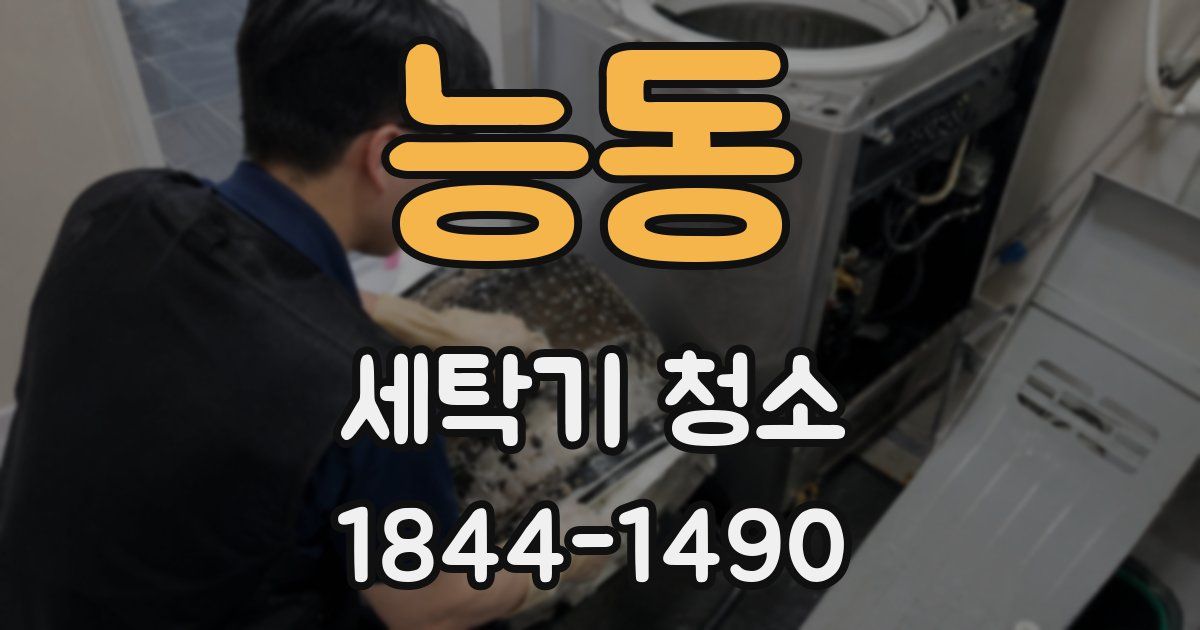 능동 세탁기 청소